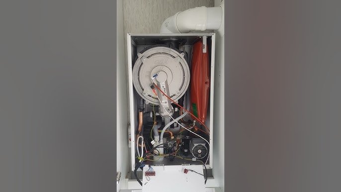 ECA Citius Premix İç Dizaynı
